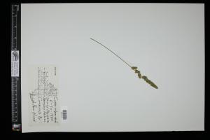 87140-Service File.jpg