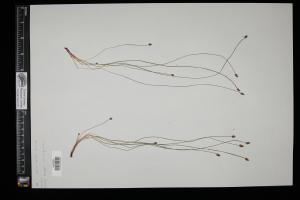 87168-Service File.jpg