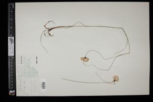 87170-Service File.jpg