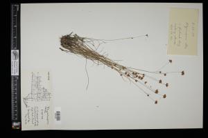 87173-Service File.jpg