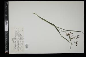 87178-Service File.jpg