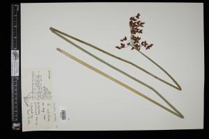 87182-Service File.jpg