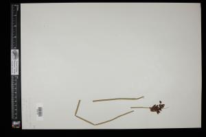 87183-Service File.jpg
