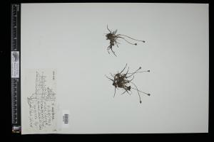 87187-Service File.jpg