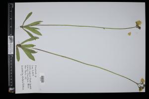 87191-Service File.jpg