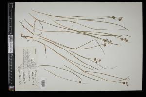 87192-Service File.jpg