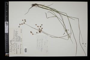 87202-Service File.jpg