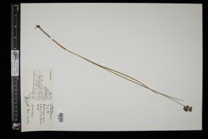 87208-Service File.jpg