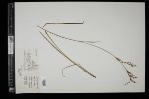 87209-Service File.jpg