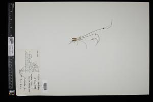 87224-Service File.jpg