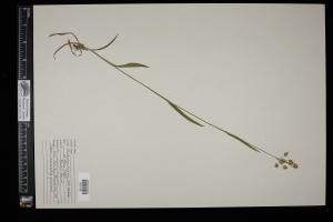 87225-Service File.jpg