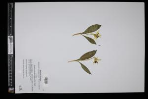 87226-Service File.jpg