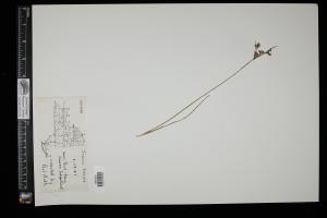 87233-Service File.jpg
