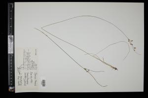 87234-Service File.jpg