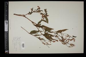87241-Service File.jpg