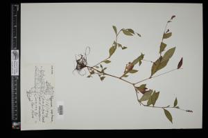 87246-Service File.jpg