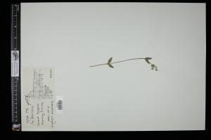 87257-Service File.jpg