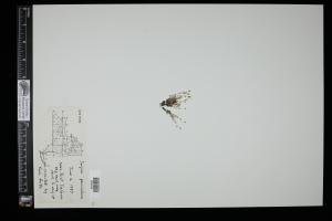 87261-Service File.jpg