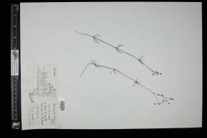 87262-Service File.jpg