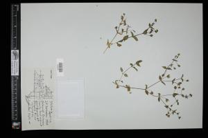 87266-Service File.jpg