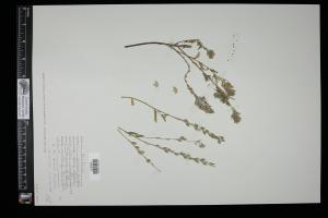 87297-Service File.jpg