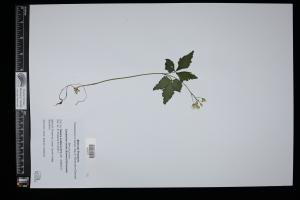 87298-Service File.jpg
