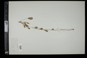 87301-Service File.jpg