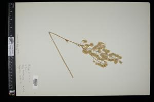 87309-Service File.jpg