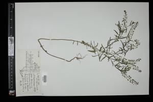 87311-Service File.jpg