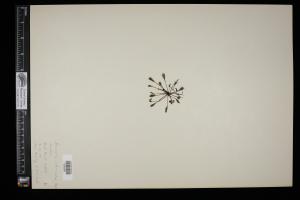 87316-Service File.jpg