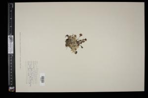 87318-Service File.jpg