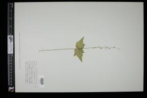 87322-Service File.jpg