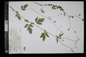87341-Service File.jpg