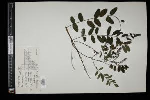 87357-Service File.jpg