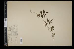 87358-Service File.jpg