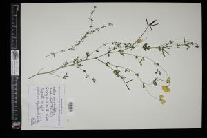 87368-Service File.jpg