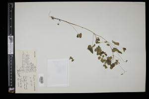 87377-Service File.jpg