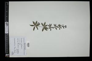 87384-Service File.jpg