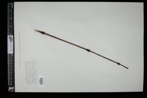 87400-Service File.jpg