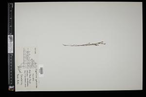 87410-Service File.jpg