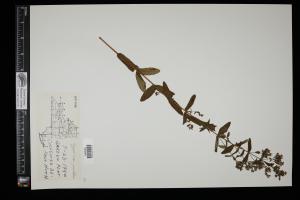 87414-Service File.jpg