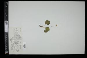 87417-Service File.jpg