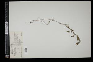 87422-Service File.jpg