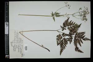 87430-Service File.jpg