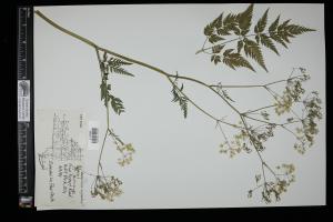 87431-Service File.jpg