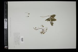 87440-Service File.jpg