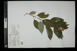87444-Service File.jpg