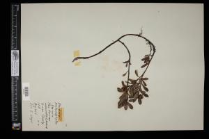87445-Service File.jpg