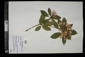 87453-Service File.jpg