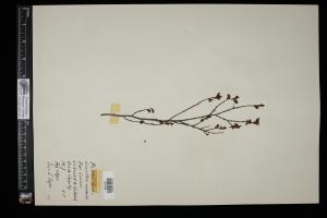 87457-Service File.jpg